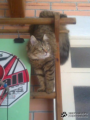 � � ����� �������! ;)