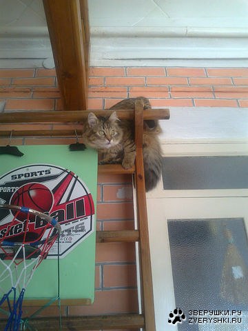 � � ����� �������! ;)