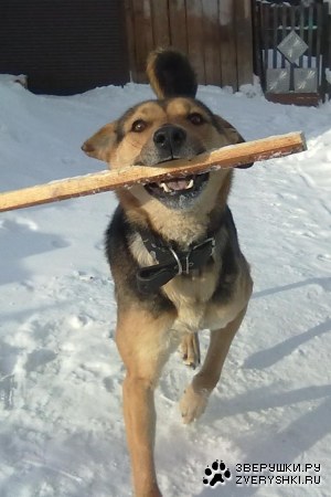 ��� ������� :)