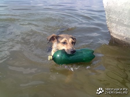 ��� ������� :)