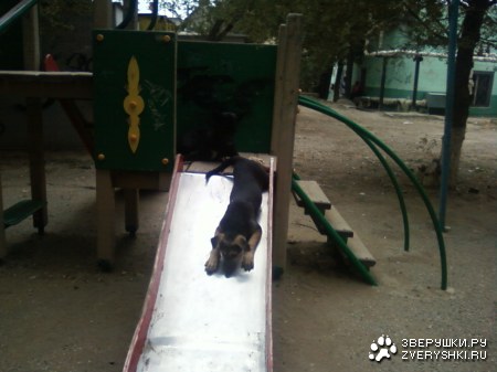 ����� ��������� :)