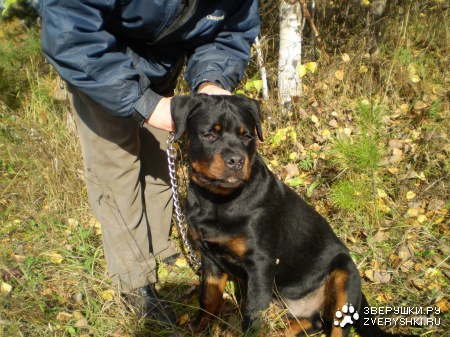 �� ������� :)