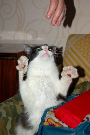 ��� ����� ������ :)