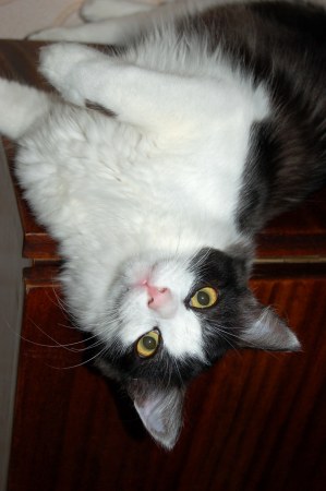 ��� ����� ������ :)