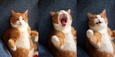 �������� :)