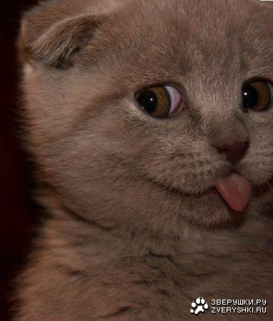 ������� ��� ��������! ;)