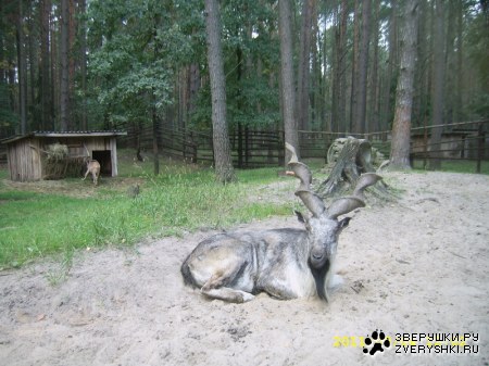 ��������� ���� :)