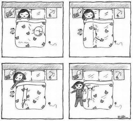 ��������� �������� :)