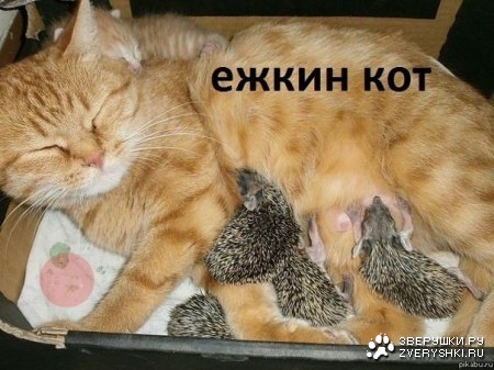 ����� ��� ;)