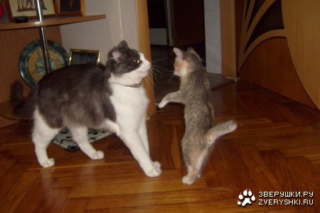 ������ � ���� ������������ :) (19 ����)