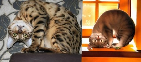 ������ :)