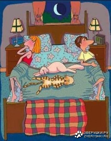 ������ ����� :)