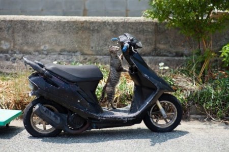 ������ � ��������� ������� (26 ����)