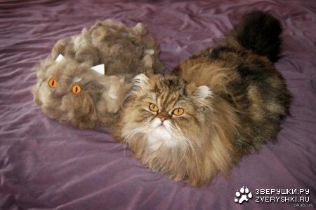 �������� :)