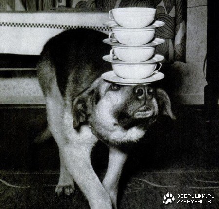 ��������� �� ���� ;)