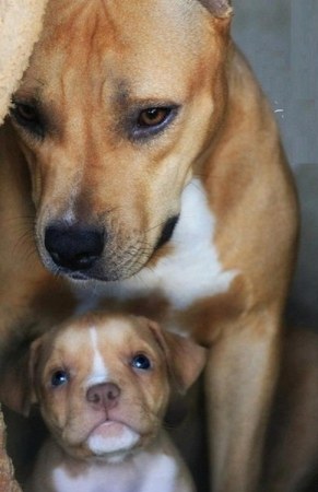 ������� ��������!