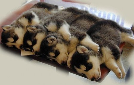 ������������� ;)