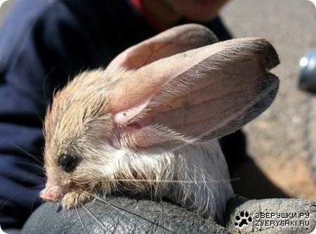 ���������� ��������� :)