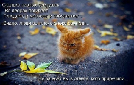 �������� ��������!!!