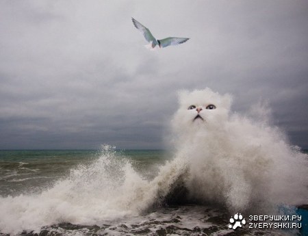 ������� ����� :)