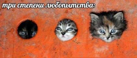 ��� ������� ����������� :)