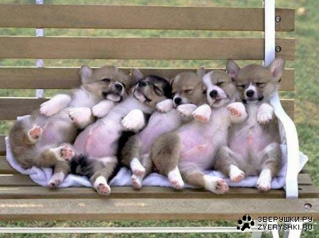 ������ ����� �� �������� ;)