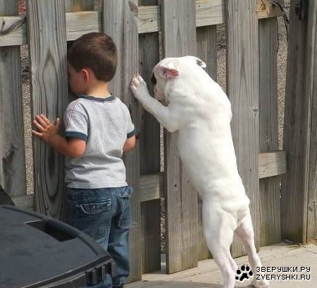 ������!!! ��� ���� ������!!!