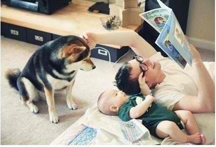 ������ ���������� � ������� (10 ����)