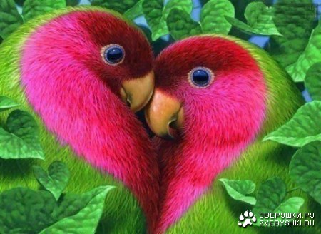 ��������� �������� ;)