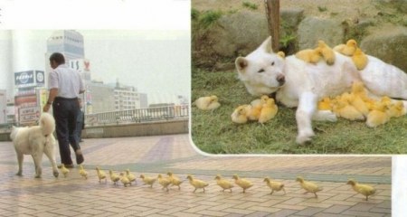 ������ � �������� ;)