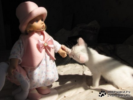 ��������� ���� ����� ���������� ;)