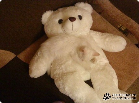 ����� ���� ;)