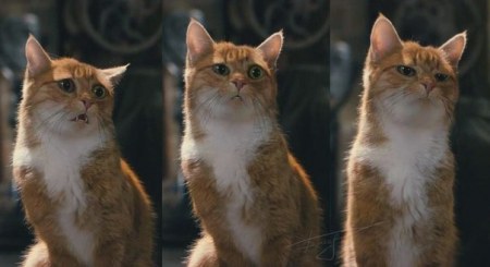 ���������� �������� (6 ����)