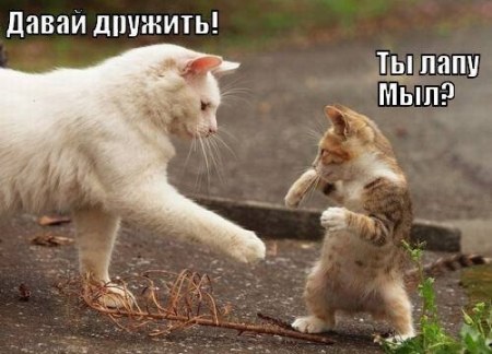 ��������� ���� (3 ����)