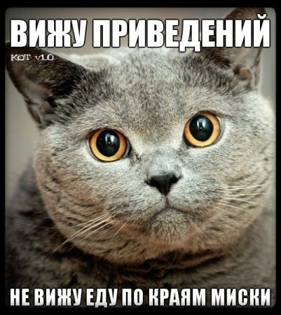 ��������� ���� (3 ����)