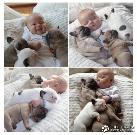 ����� ������ ���� :)