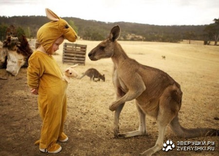 ���������� �������� (8 ����)