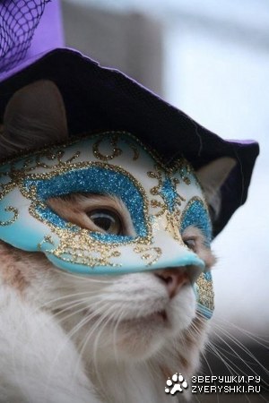 ����� �� ����������� �������� ;)