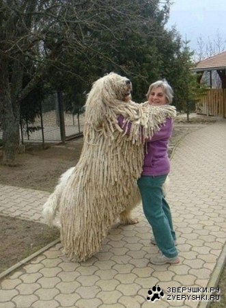 �������� ������ ( 8 ���� )