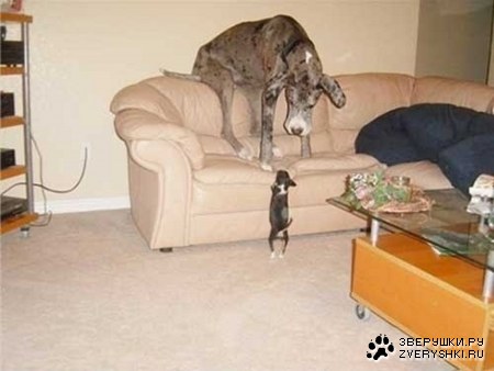 �������� ������ ( 8 ���� )