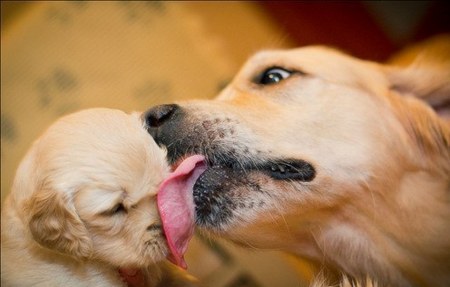 ����� ������� :)