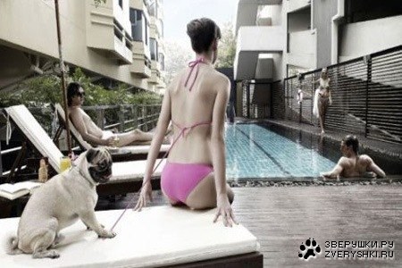 Настоящий мужик ;) Настоящий мужик ;)