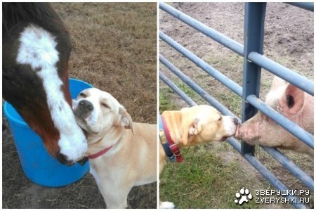 ����� �������� �� :)