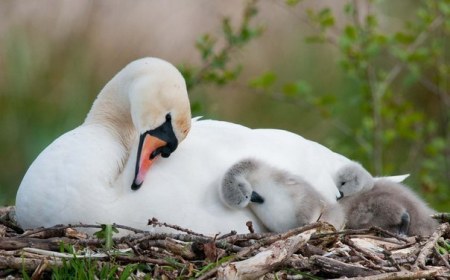 ����-������ � ������� ;)