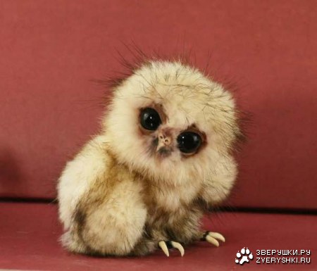 ������ ;)