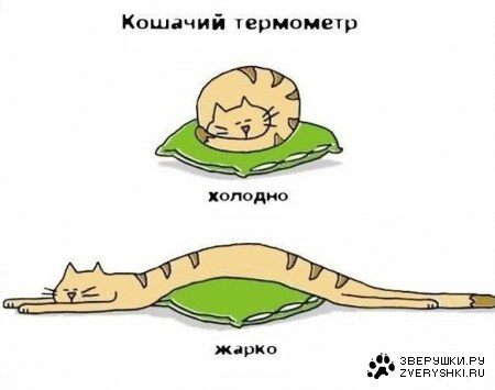 ������� ��������� ;)