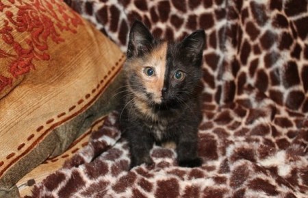 ��� ���� � �����!