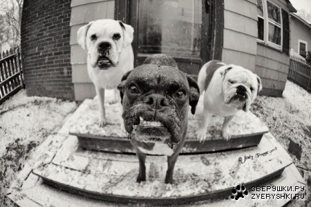 ��������� ������ ;)