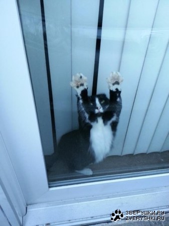 �������� �������� (10 ����)