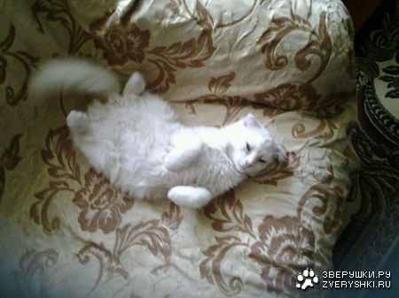 � �������! :)